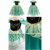 Close up Front view of a child's Anna-inspired princess costume with a black velvet bodice, gold trim, and a green tulle skirt with floral accents