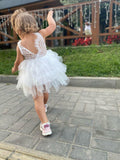 Modern Princess Lace Tulle Dress