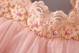 Giggles Lace Fluffy Tulle Dress