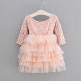 Special Day Lace Tulle Long Sleeve Dress