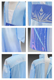 Frozen 2 Blue Elsa Dress with Accessories